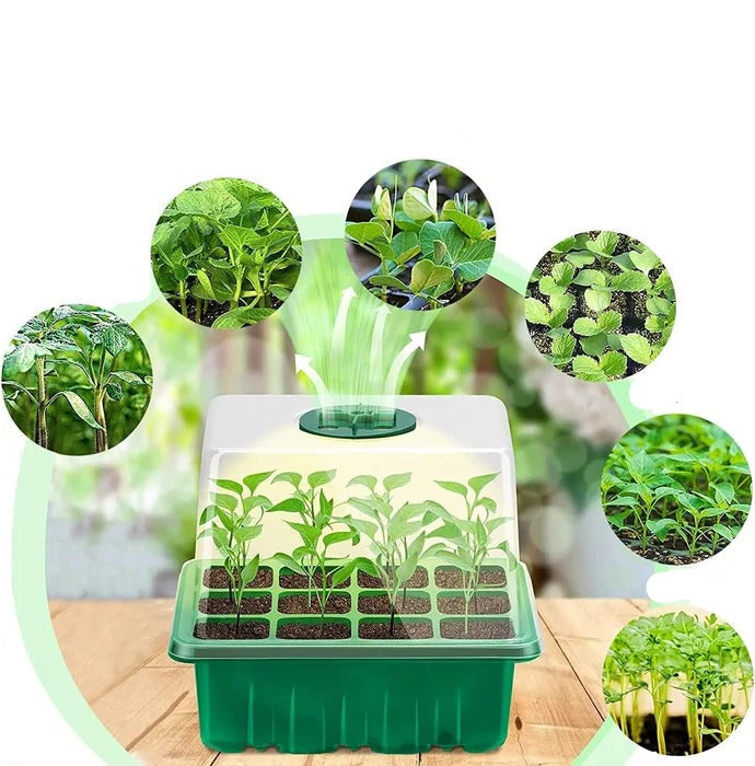 Household New Nursery Pot With Lamp - Plant Seed Starter…